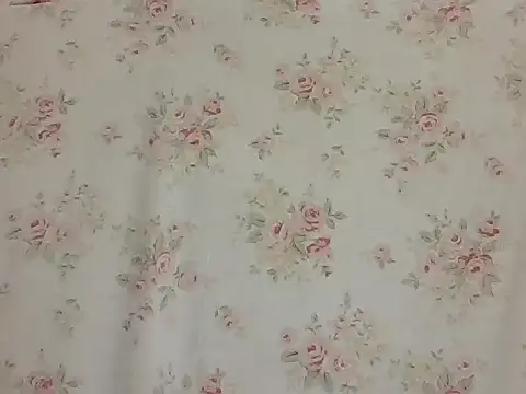 Snapshot of sarathchandru chatting on February 2026 11:03:02 PM sarathchandru online show from February 2026 11:03:02 PM