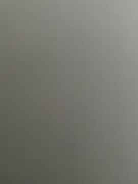 Snapshot of Bull8 chatting on February 2025 09:32:01 AM Bull8 online show from February 2025 09:32:01 AM