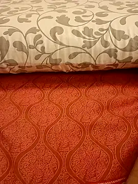 Snapshot of Bull8 chatting on March 2025 11:42:01 PM Bull8 online show from March 2025 11:42:01 PM