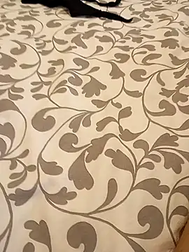 Snapshot of Bull8 chatting on March 2025 06:01:02 PM Bull8 online show from March 2025 06:01:02 PM