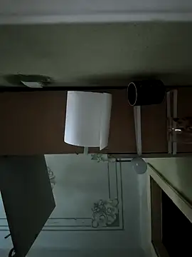 Snapshot of Dimka132 chatting on January 2026 09:24:02 AM Dimka132 online show from January 2026 09:24:02 AM