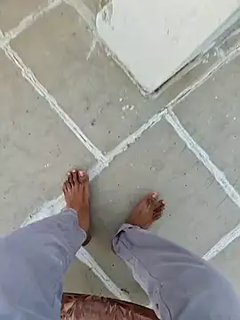 Big boss ind online show from February 2025 12:59:01 PM