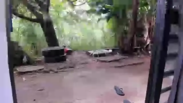 Snapshot of venusandzeus@xh chatting on December 2025 12:54:01 PM venusandzeusxh online show from December 2025 12:54:01 PM