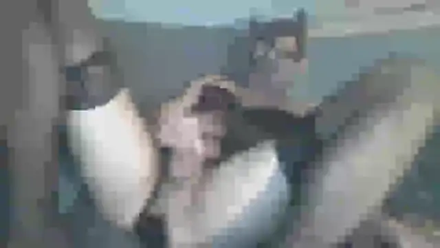 chceciedalsiebie online show from February 2026 02:53:01 AM