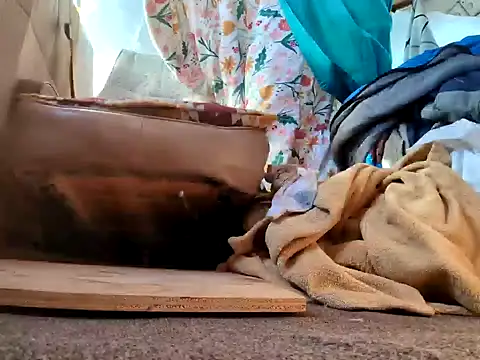 Snapshot of klamper chatting on January 2025 07:42:02 PM klamper online show from January 2025 07:42:02 PM