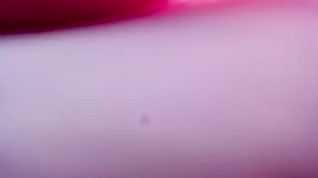 Shyfantasies online show from April 2026 03:12:01 PM