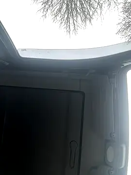 Lionayowe online show from November 2025 10:59:01 AM