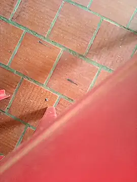 Brenda Berck  online show from September 2025 02:06:01 PM