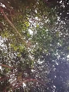 Brenda Berck  online show from April 2026 12:57:01 PM