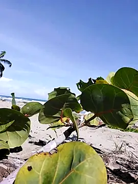 Luna-Natural online show from December 2025 04:23:01 PM