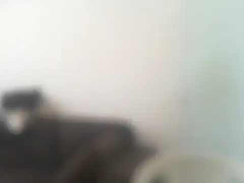 ConradinhoBR50 online show from April 2026 02:27:02 PM