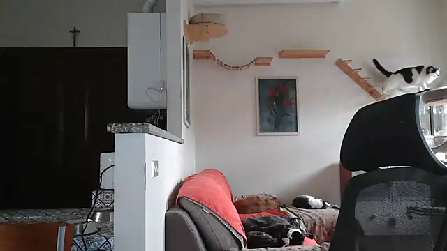 simona60 online show from February 2025 02:07:01 PM