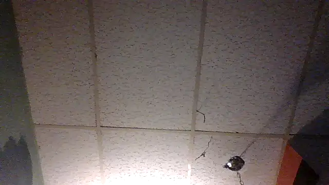 moipipi2 online show from December 2024 04:31:02 AM