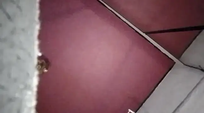 Mariusz38x online show from December 2024 10:34:02 PM