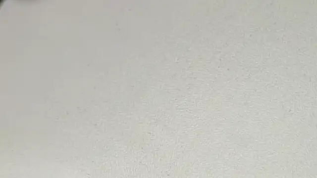 yodaModel1 online show from February 2025 10:15:01 AM