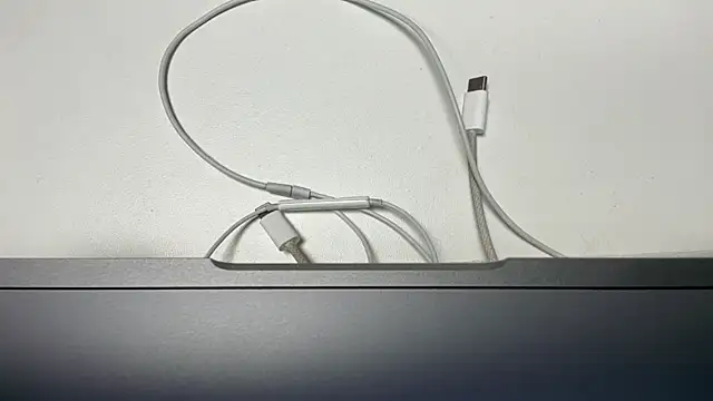 yodaModel1 online show from February 2025 10:30:02 AM