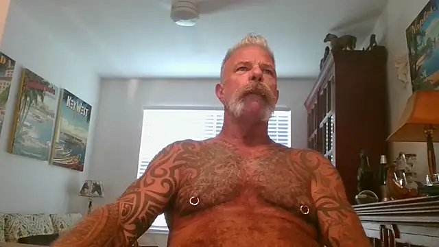 Snapshot of njdbear chatting on November 2025 09:17:02 PM njdbear online show from November 2025 09:17:02 PM