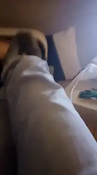 Snapshot of InMeinenMund chatting on January 2025 02:39:02 AM InMeinenMund online show from January 2025 02:39:02 AM