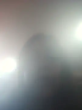 DORYY online show from July 2026 01:56:01 AM