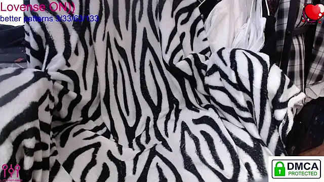 sweet cute cat online show from January 2026 10:30:01 AM