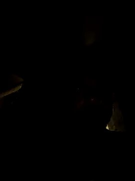 tropikboy online show from March 2026 12:48:01 AM