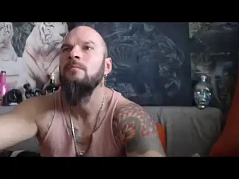 viking 30 online show from February 2025 09:46:02 AM