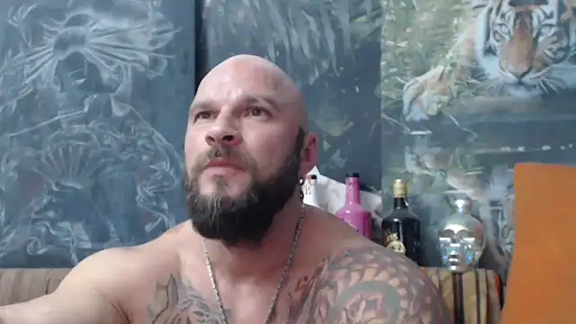 viking 30 online show from September 2025 06:30:01 PM