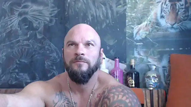 viking 30 online show from September 2025 06:47:02 AM