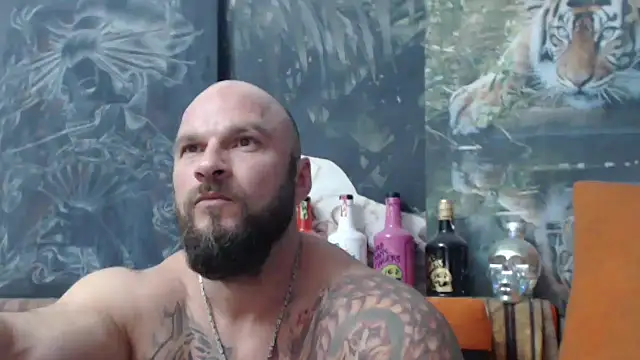 viking 30 online show from September 2025 06:43:02 PM