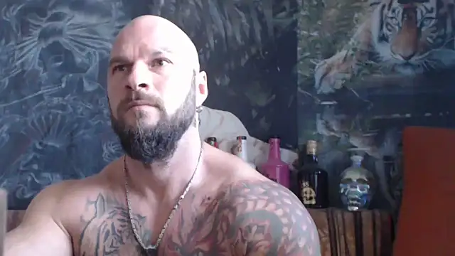 viking 30 online show from October 2025 06:01:01 AM