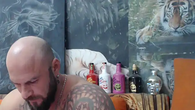 viking 30 online show from October 2025 06:27:02 PM