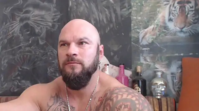 viking 30 online show from November 2025 10:28:01 AM