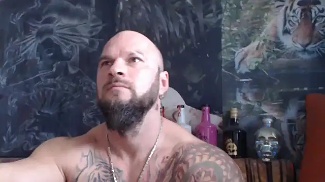 viking 30 online show from November 2025 10:26:01 AM