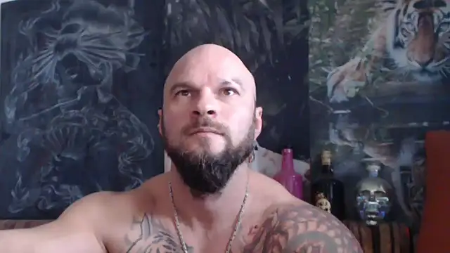 viking 30 online show from November 2025 08:01:02 AM