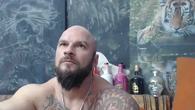 viking 30 online show from November 2025 07:03:03 PM