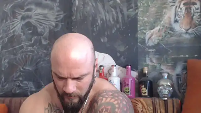 viking 30 online show from November 2025 07:08:02 AM