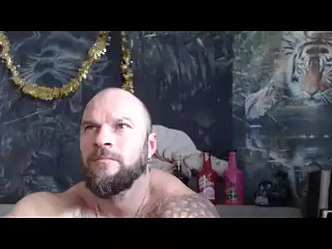 viking 30 online show from March 2026 08:03:02 AM