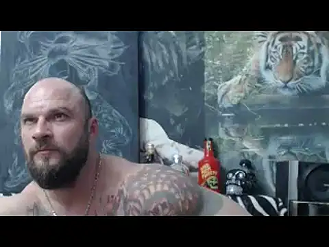 viking 30 online show from April 2026 06:11:02 PM