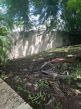 Snapshot of JohnnyBigShot chatting on September 2025 03:50:02 PM JohnnyBigShot online show from September 2025 03:50:02 PM