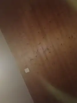 Kw8585kw online show from March 2026 08:22:02 PM