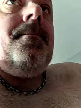 Bibear197511 online show from November 2025 12:17:01 PM