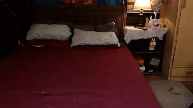 Snapshot of xheavenlytrans chatting on September 2025 11:55:01 AM xheavenlytrans online show from September 2025 11:55:01 AM