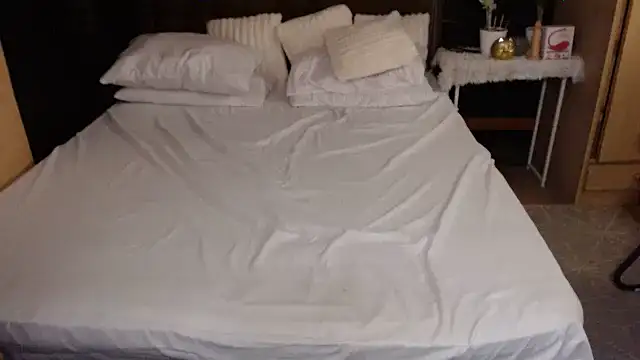 Snapshot of xheavenlytrans chatting on November 2025 02:17:01 PM xheavenlytrans online show from November 2025 02:17:01 PM