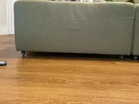 Relknhoxh online show from October 2025 09:57:02 AM