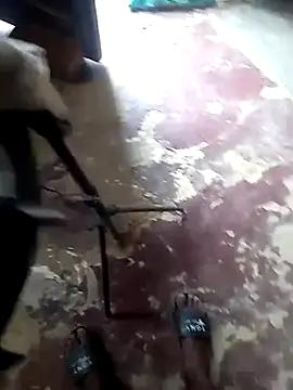 sexicaribe2 online show from November 2025 05:01:02 PM