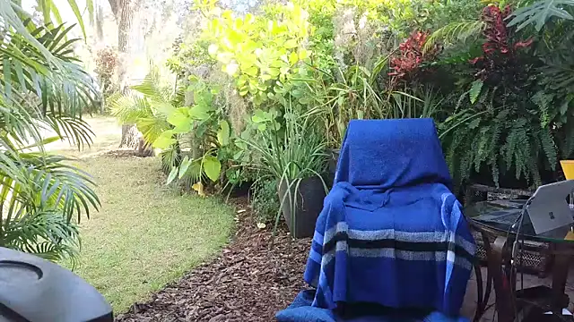 Snapshot of eliberator1777 chatting on December 2024 03:44:01 PM eliberator1777 online show from December 2024 03:44:01 PM