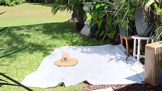 Snapshot of eliberator1777 chatting on September 2025 05:03:01 PM eliberator1777 online show from September 2025 05:03:01 PM