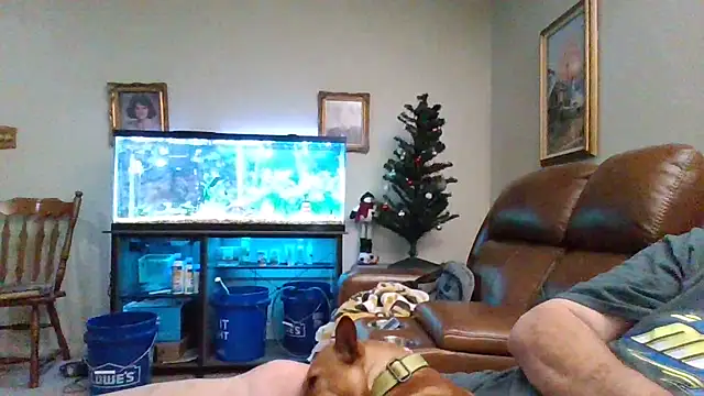 Snapshot of 1964peterbilt1 chatting on December 2024 01:48:01 AM 1964peterbilt1 online show from December 2024 01:48:01 AM