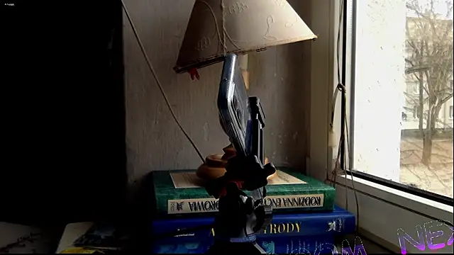 Snapshot of FireFox_Feel chatting on December 2024 10:38:02 AM FireFox Feel online show from December 2024 10:38:02 AM