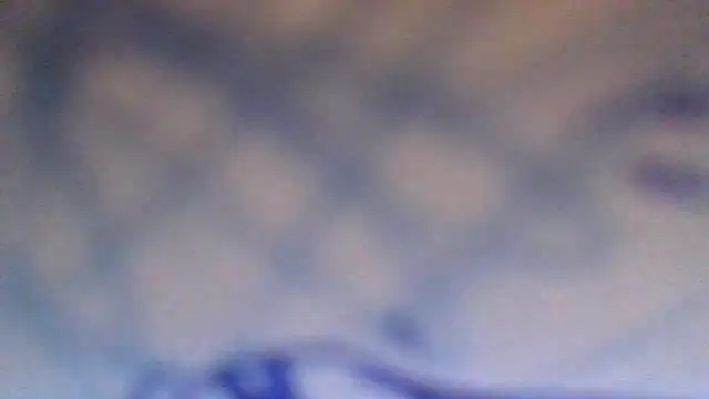 Snapshot of AnnyPat chatting on November 2025 12:55:01 PM AnnyPat online show from November 2025 12:55:01 PM